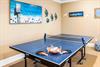 Ping Pong Table