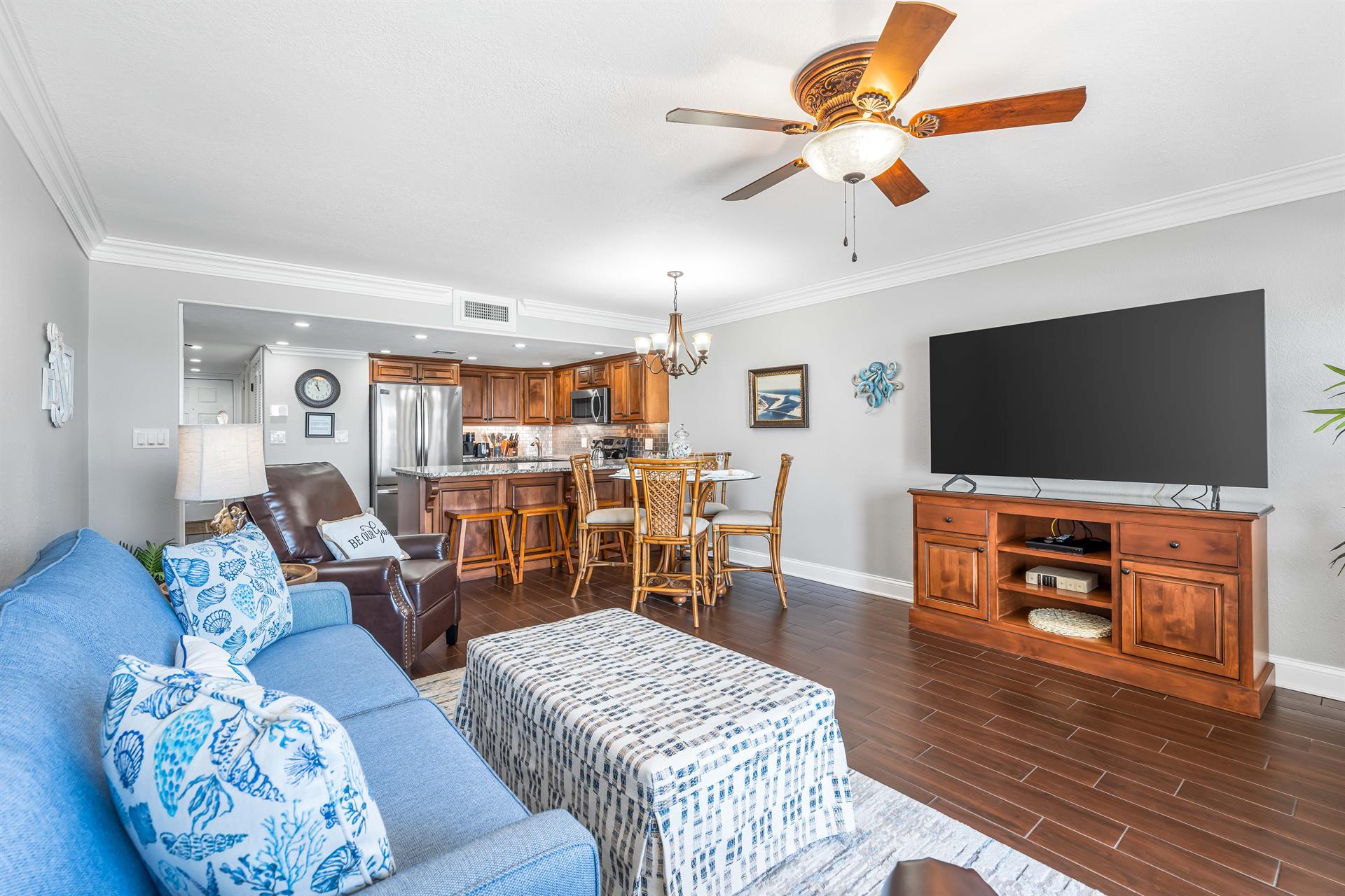 HSRC 506 Living Area TV