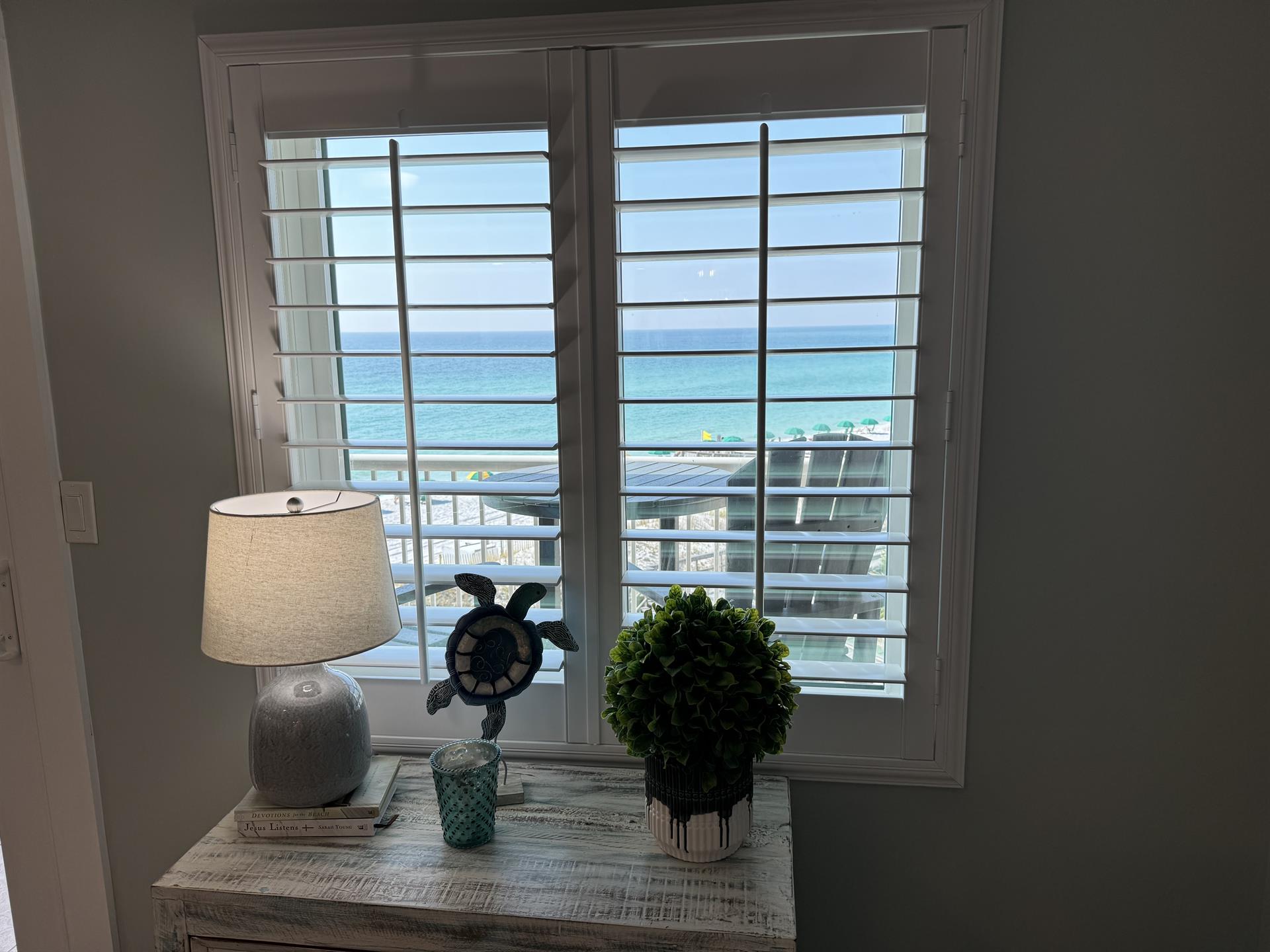 View from Living Room