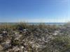 Sea Oats  Sand Dunes leading to beach