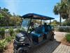 6 person golf cart provided with the home