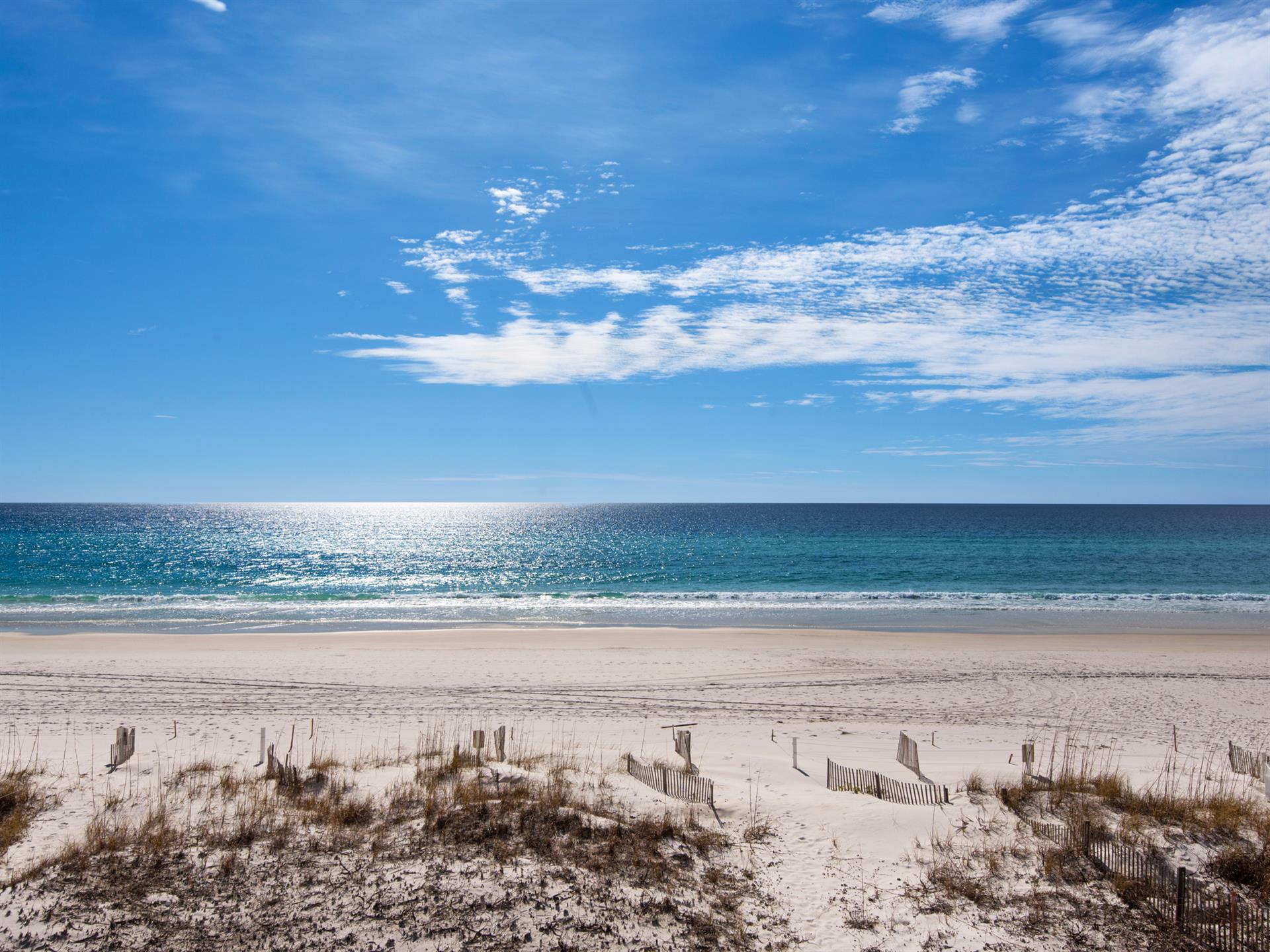 Primary Balcony View