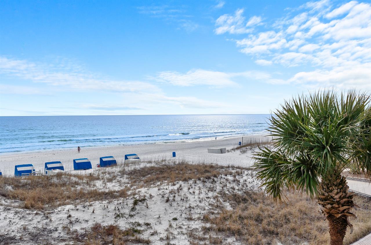 View from the Private Balcony