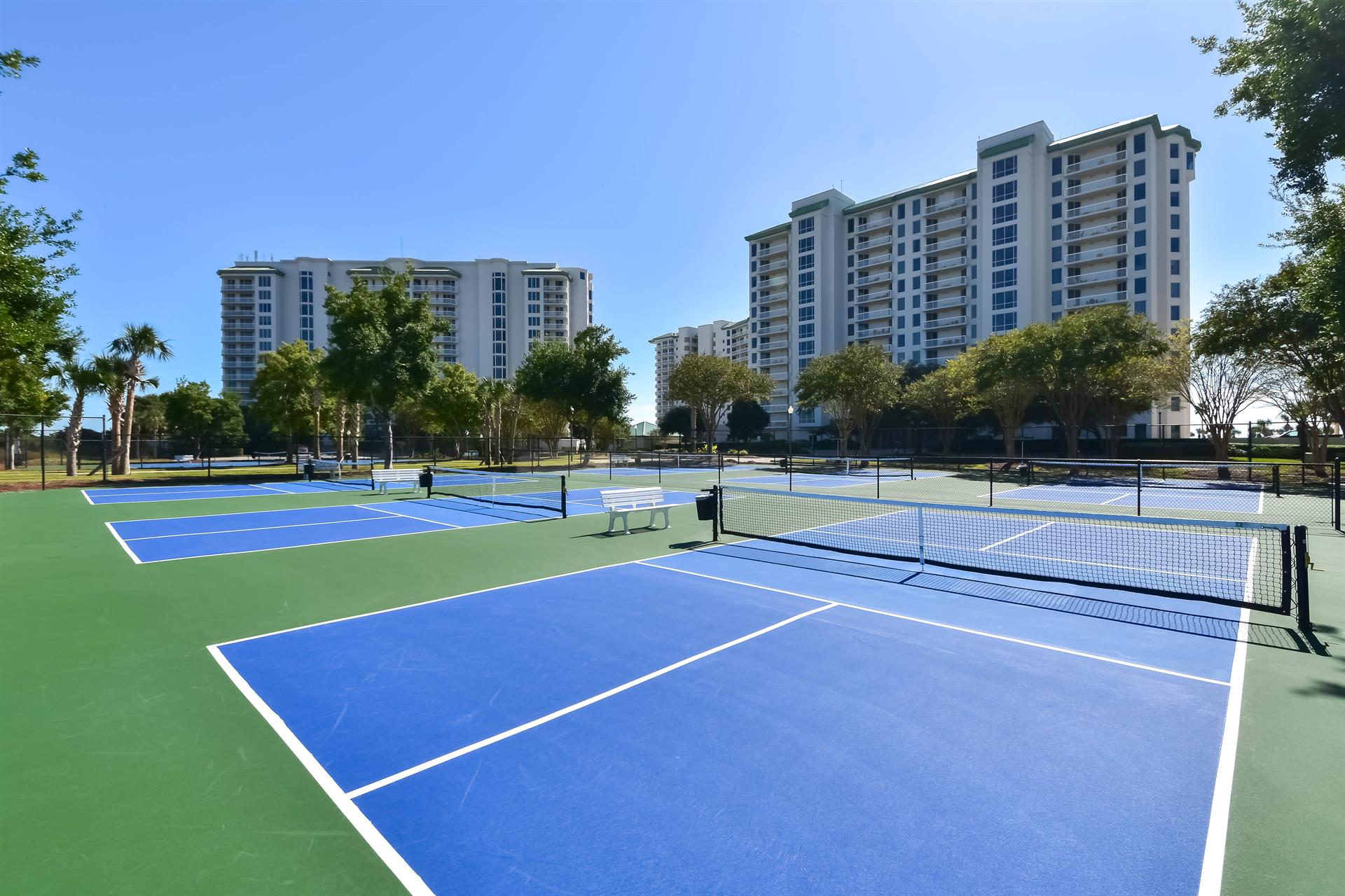 6 Pickleball Courts