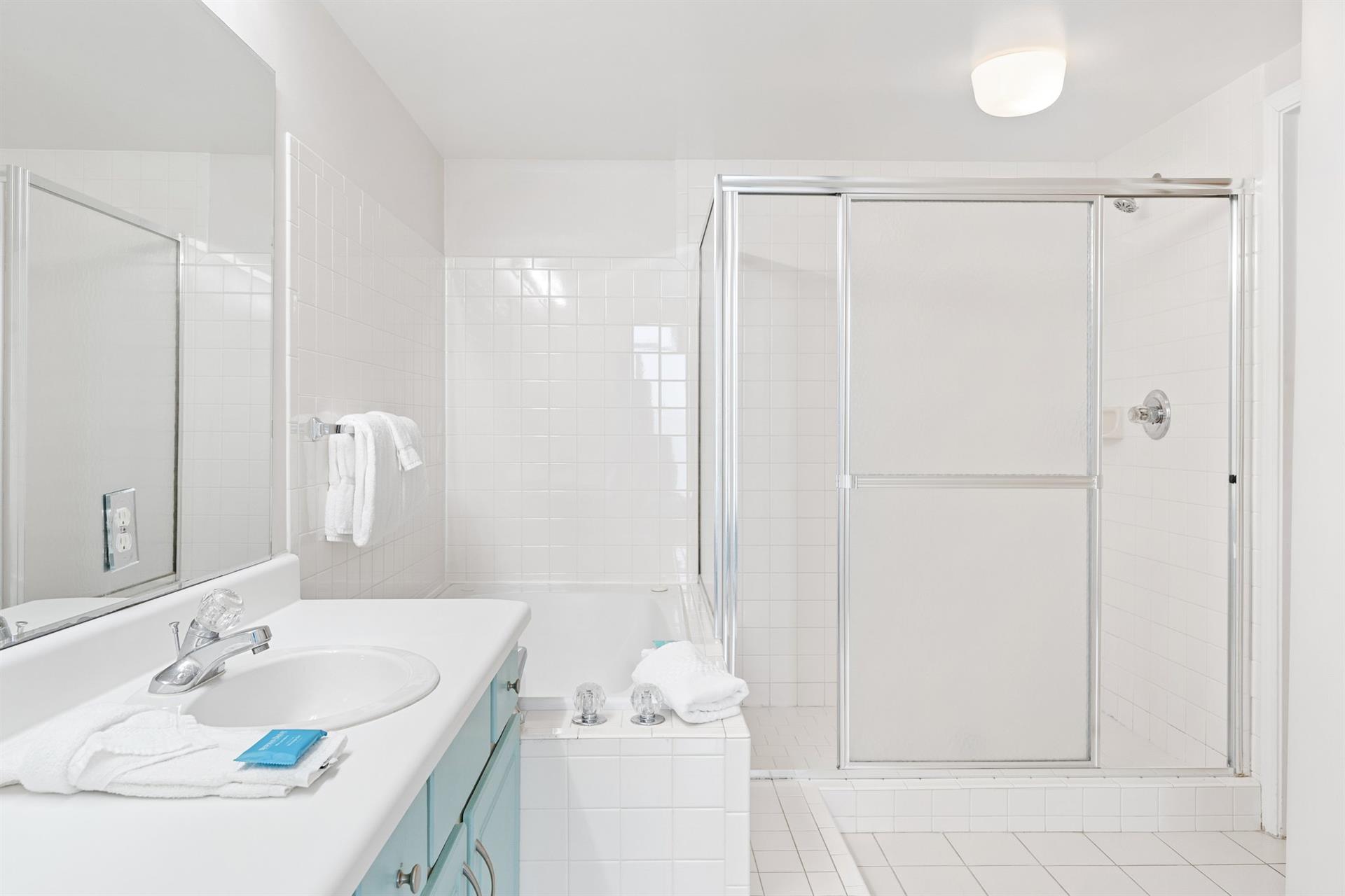 Primary Bathroom WalkIn Shower