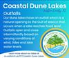 Coastal Dune Lake Info