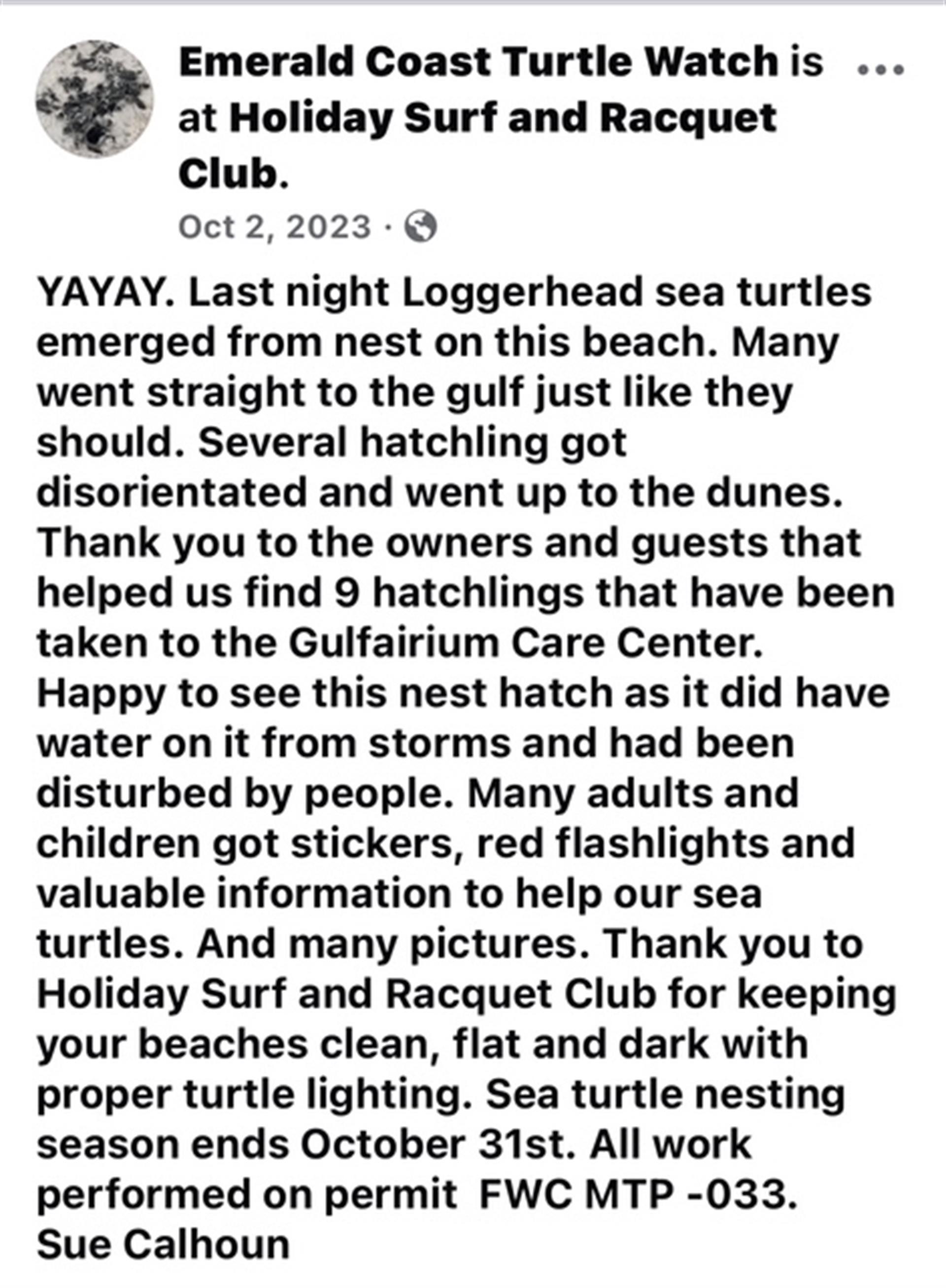Sea Turtle Hatchling Post