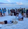 Sea Turtle Nest Hatched