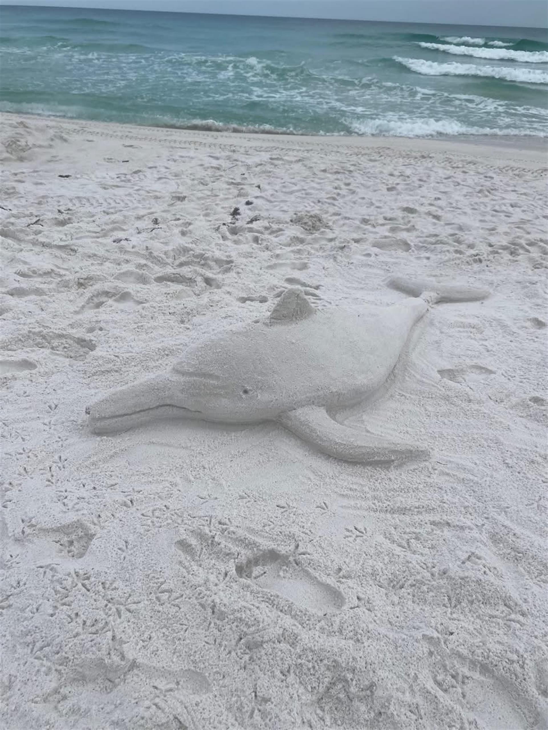 Sand Sculpture
