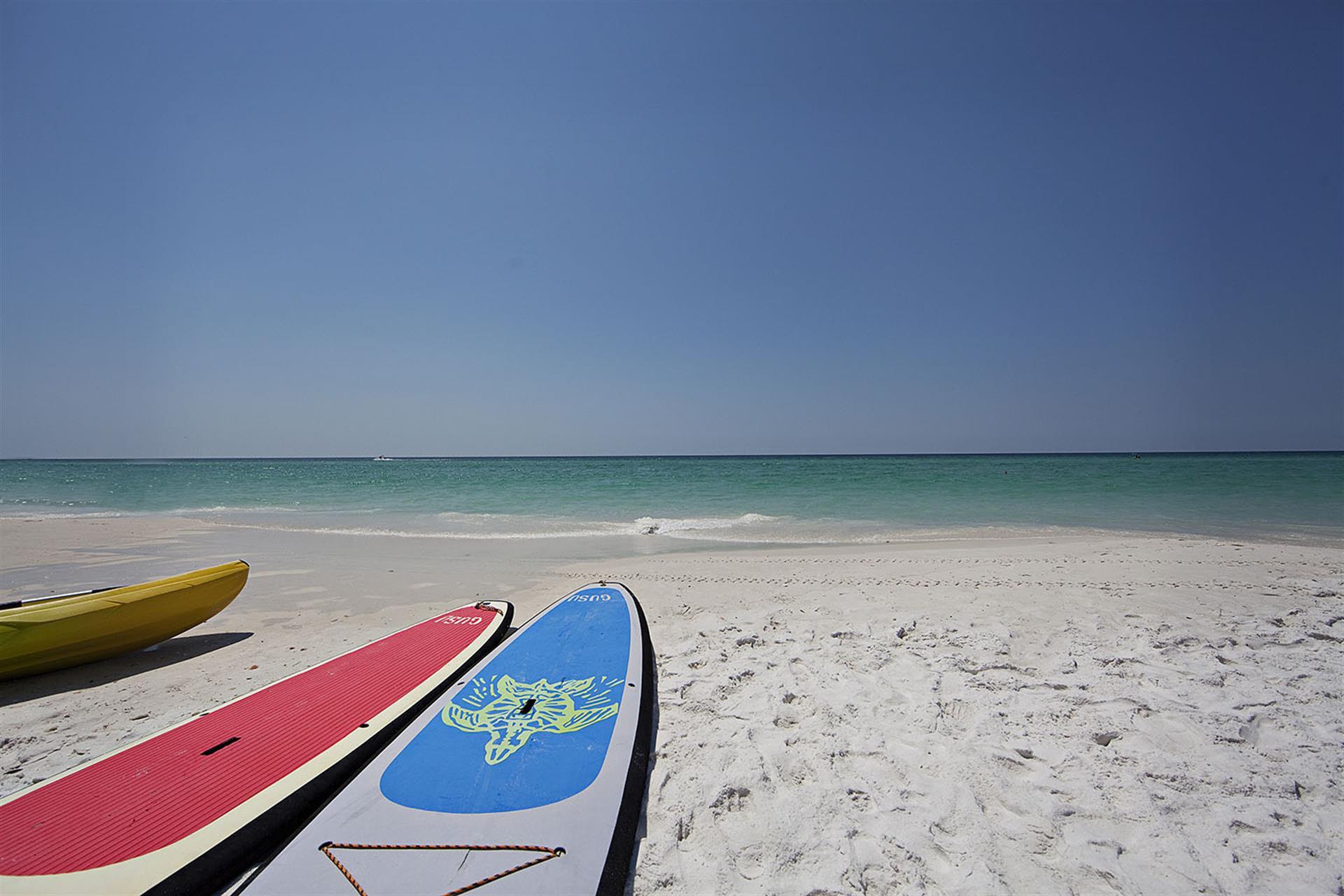 Paddleboards to rent