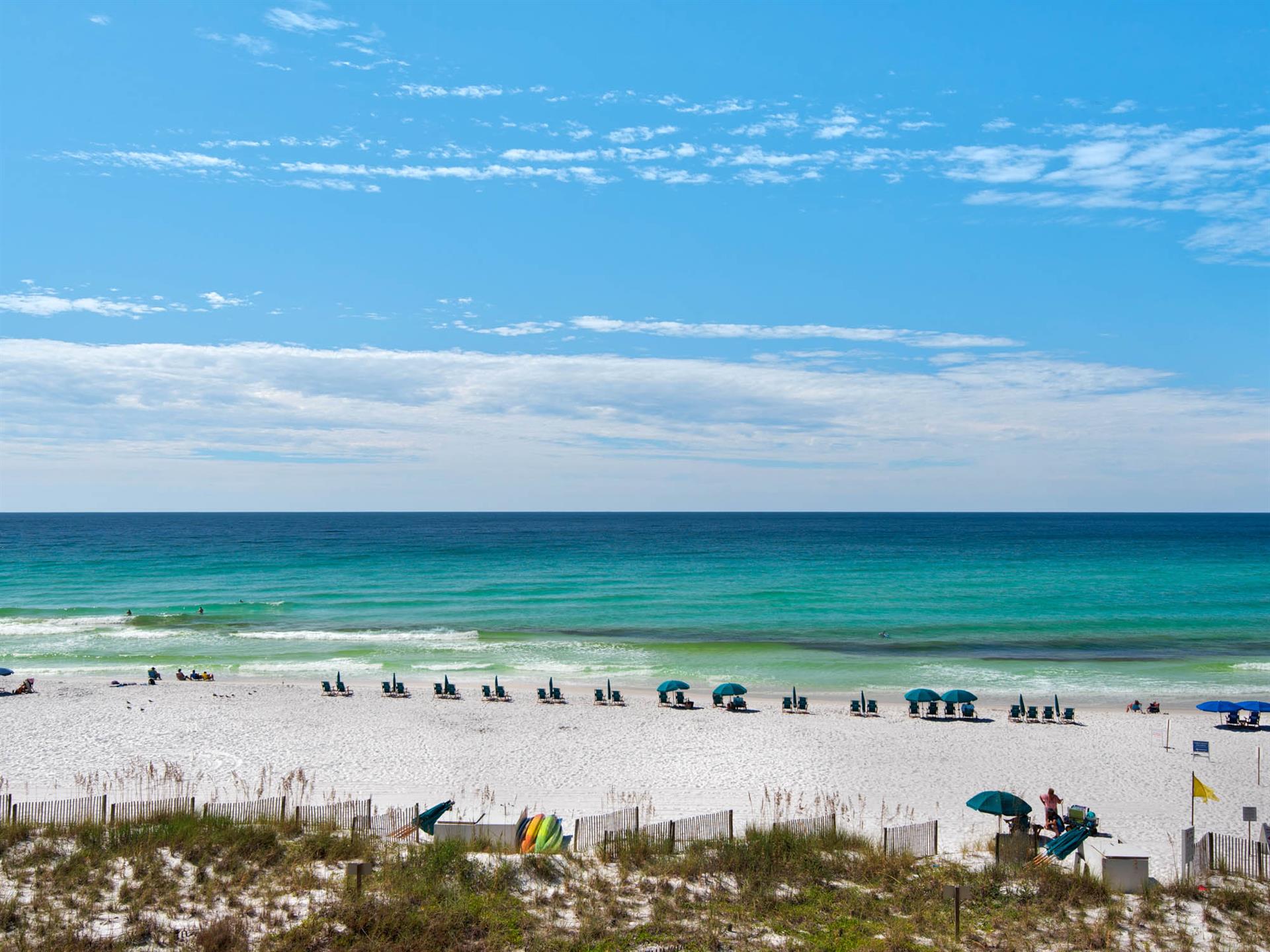 Welcome to the Beach