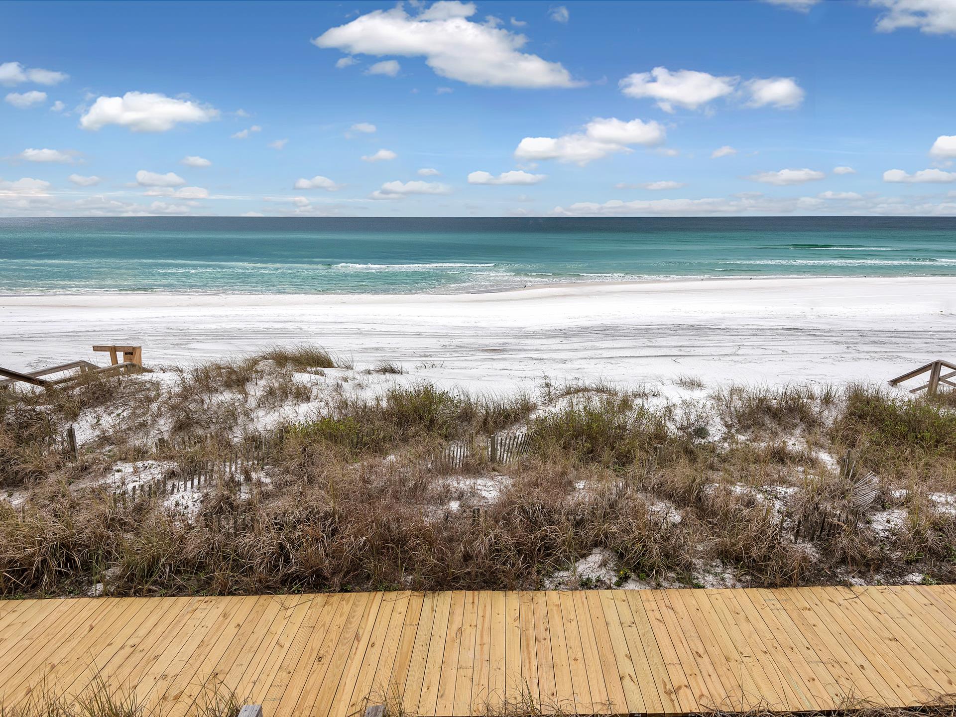 Beautiful Day at the Beach