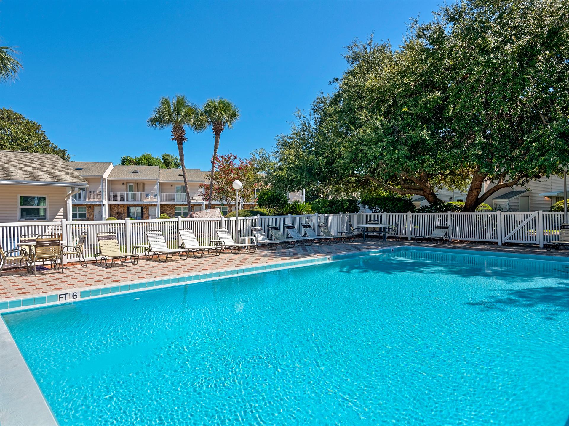 Crystalclear pool surrounded by tropical palms