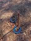 Hidden Dunes Horseshoes
