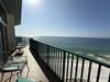 Beautiful Sunny Day