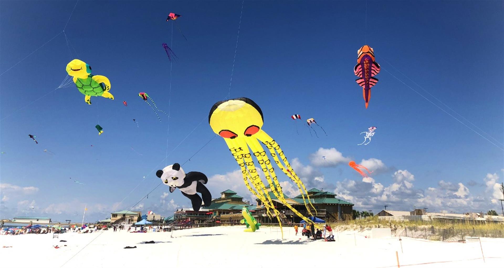 Kitty Hawk KIte Festival