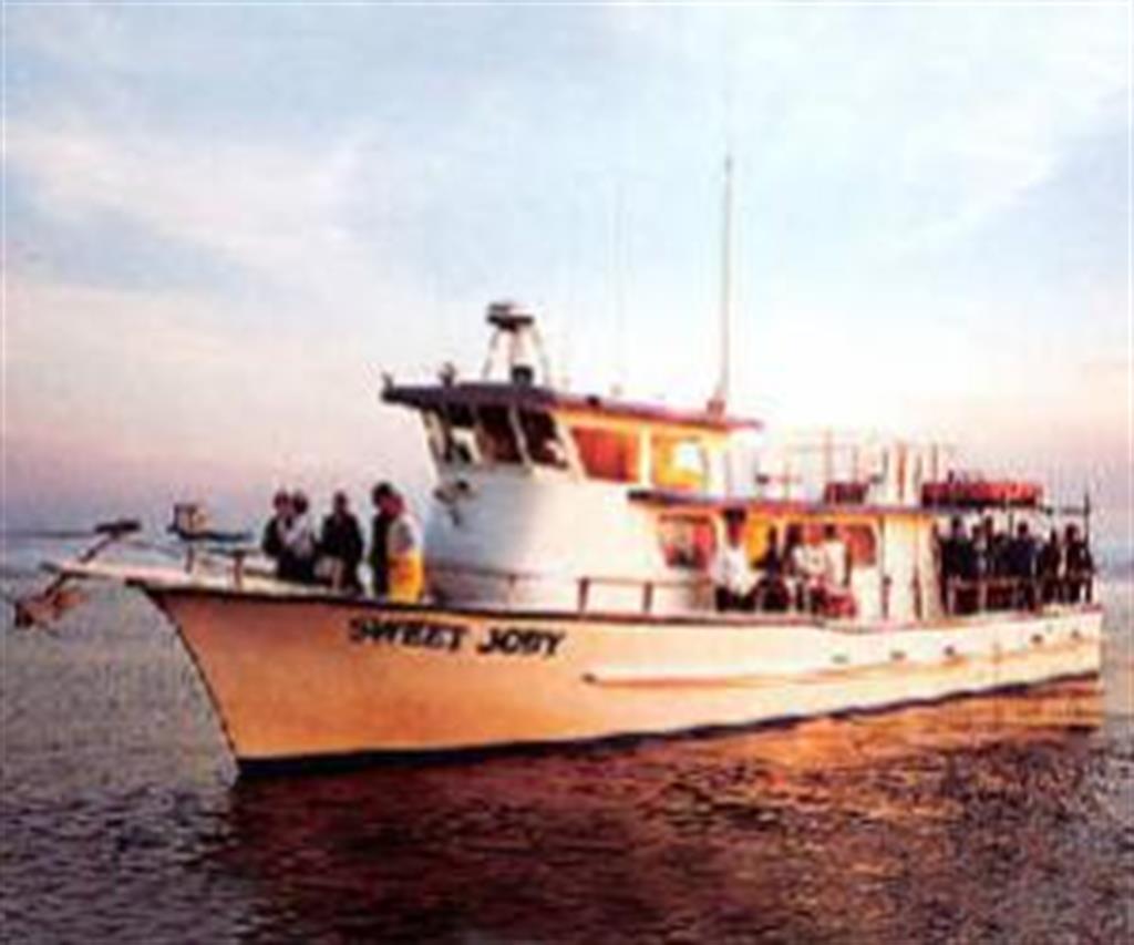 4524 B