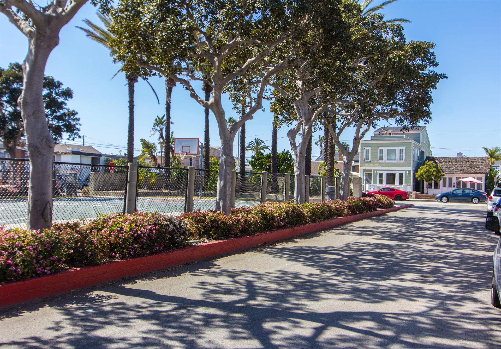 Neighborhood  walk to basketball courts