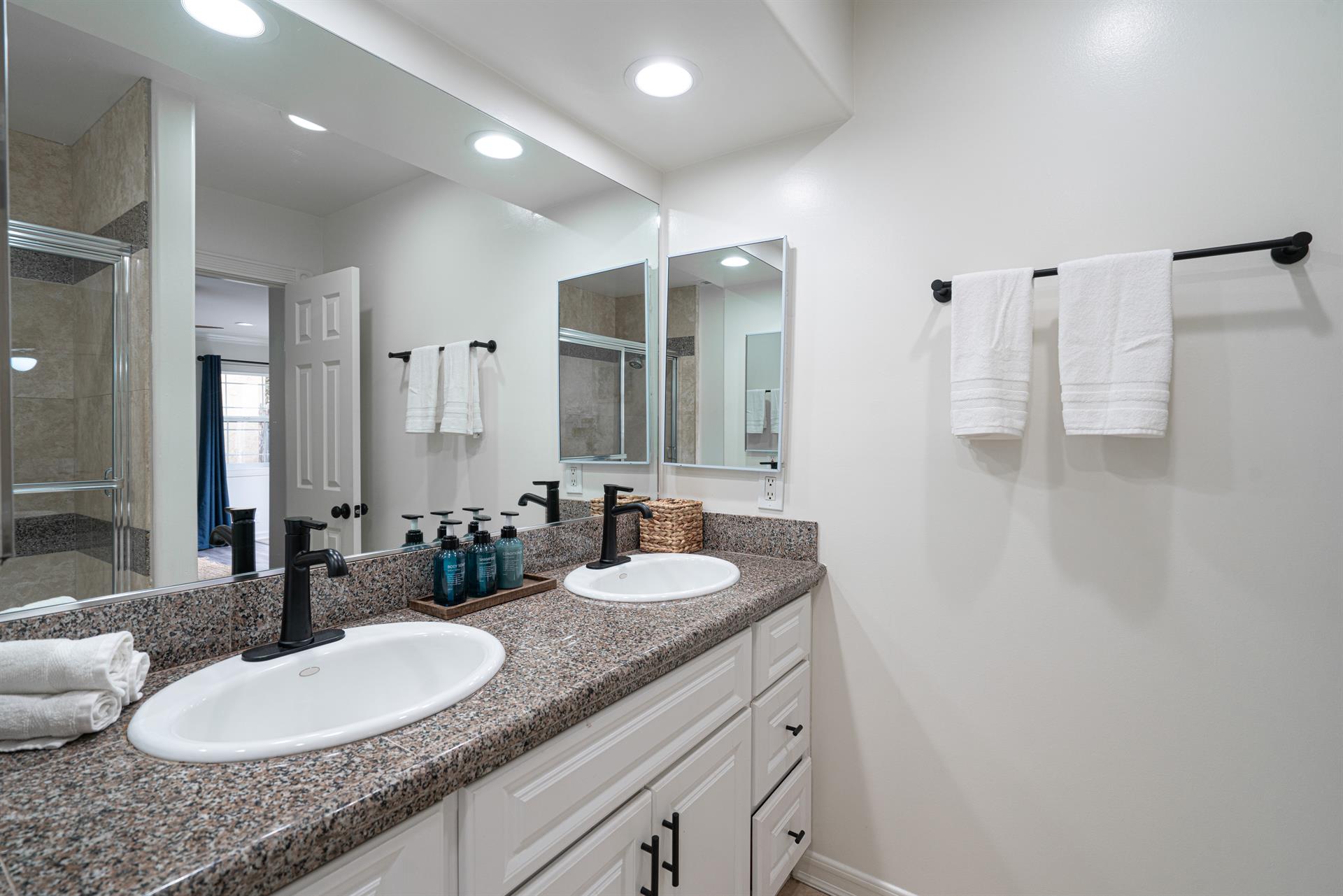 4819 Master Bathroom Sink