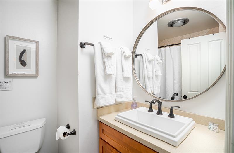 Unit A Back Room Bath