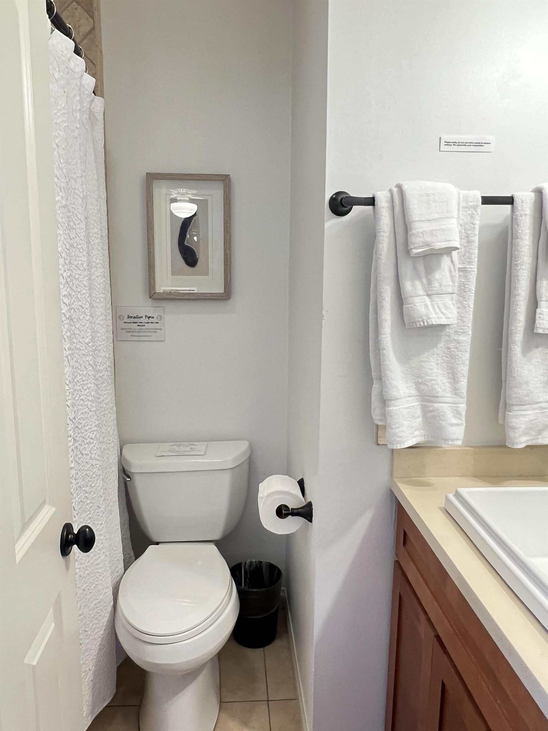 Unit A back bed bathroom main