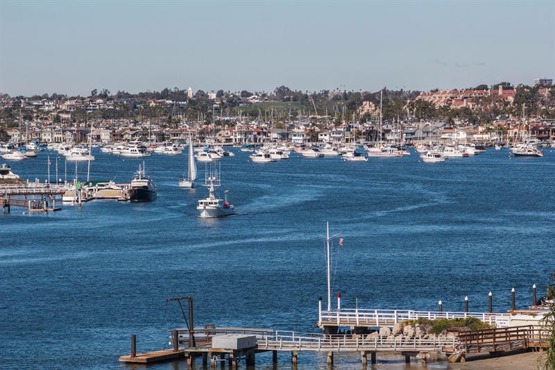 Go on a whale watch tour out of Newport Harbor