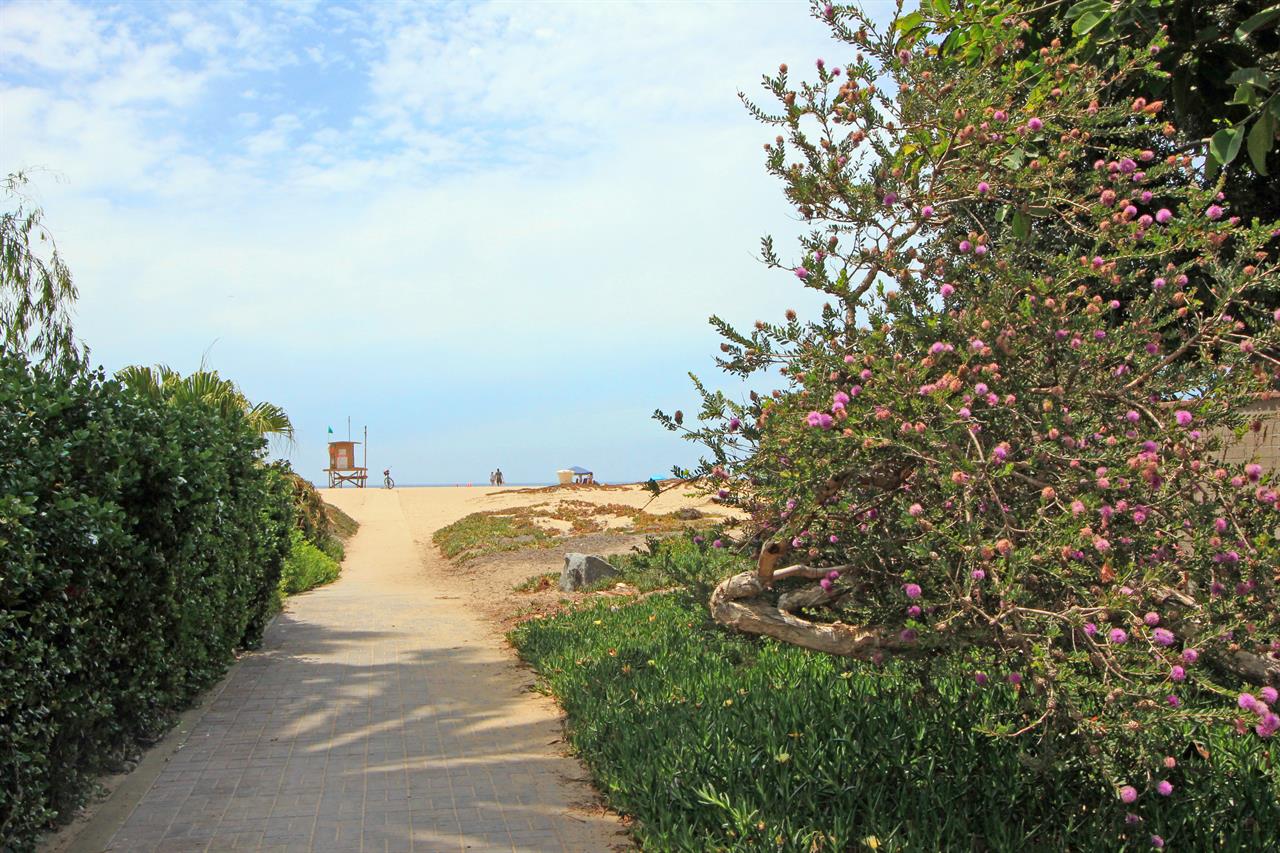 Walkway to Beach
