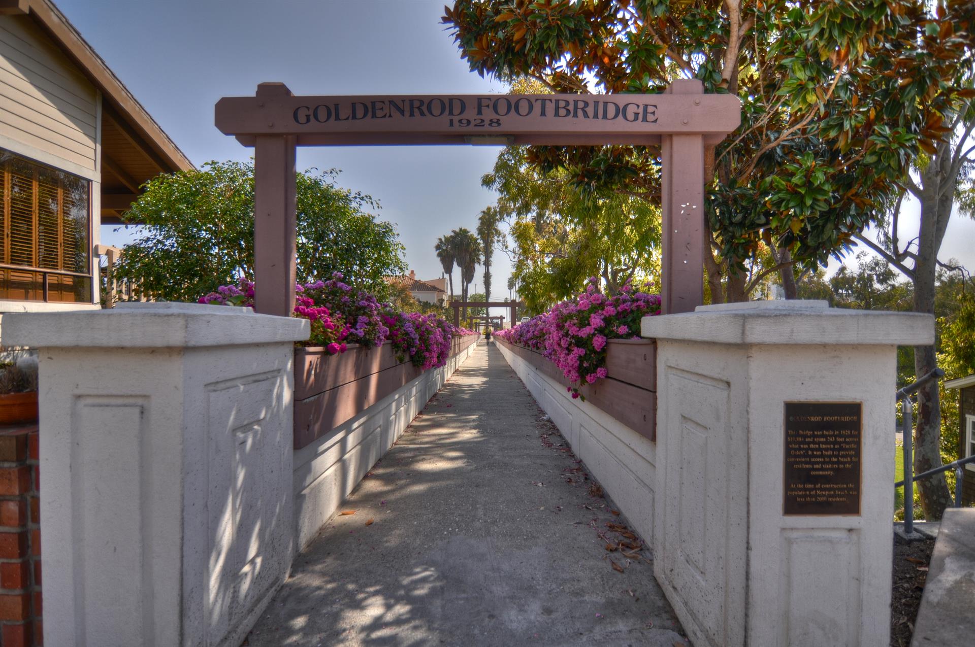 Goldenrod Footbridge