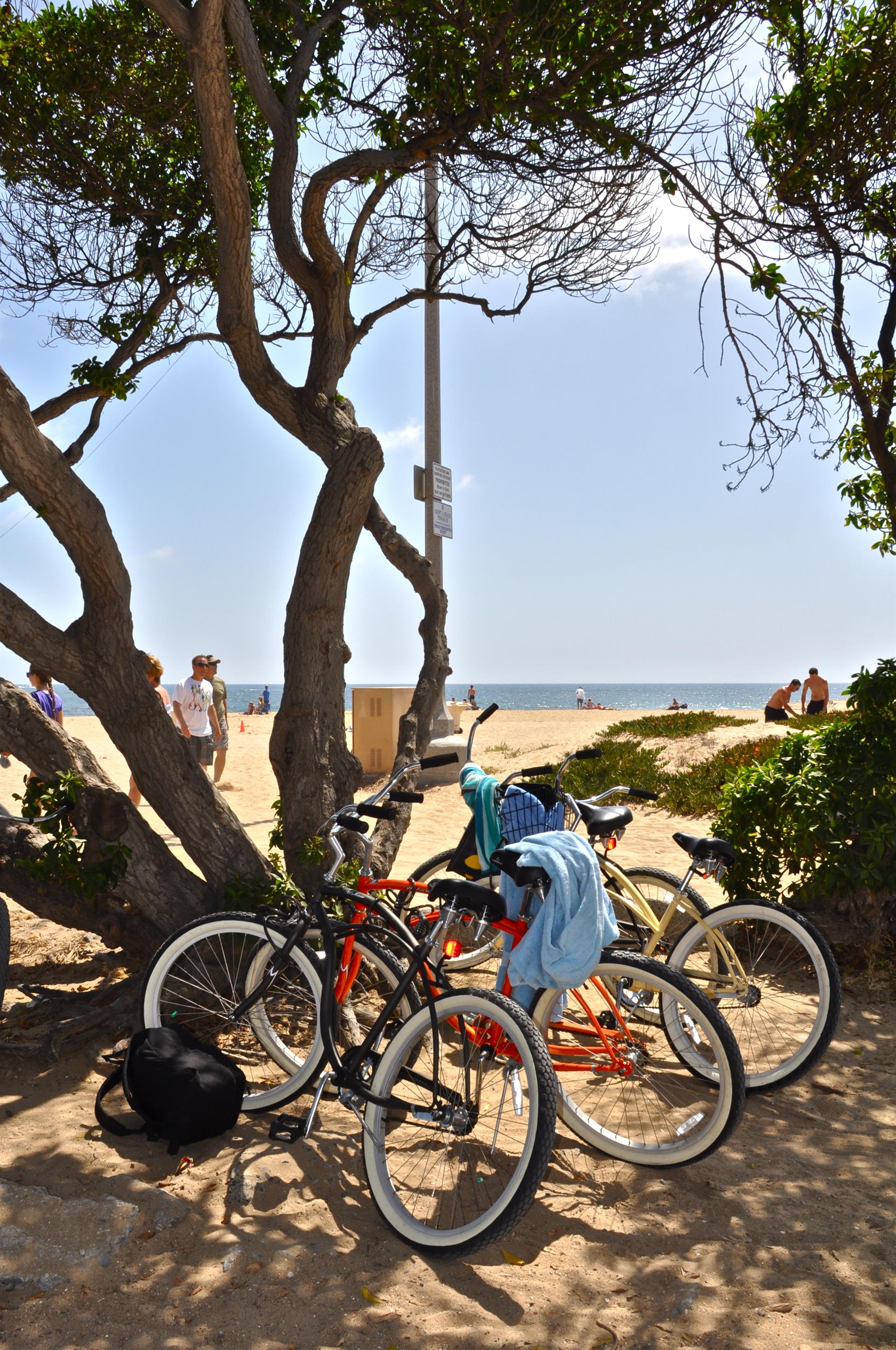 Beach Bike Ride