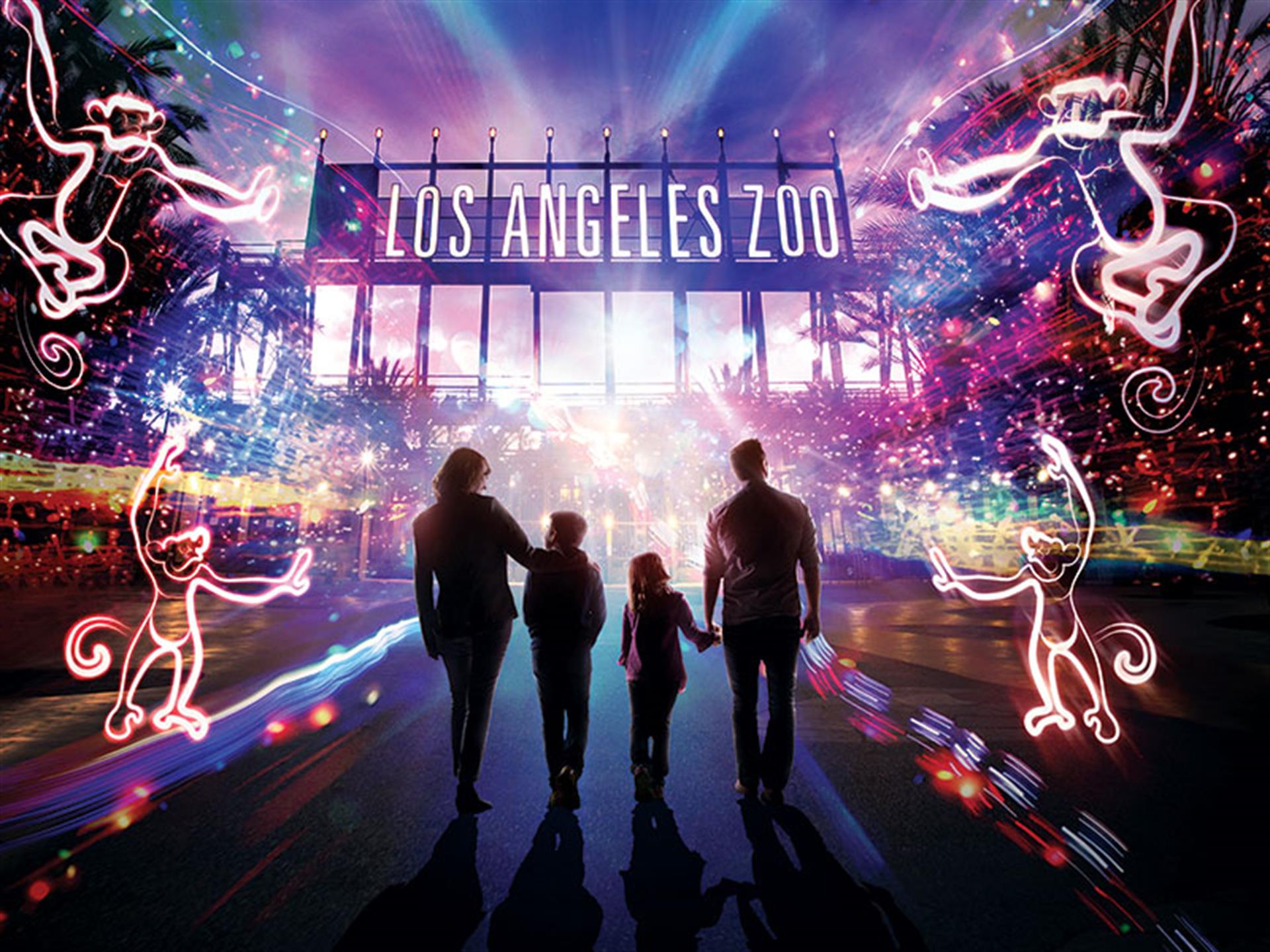 lazoolightsposter lazoolightsposter