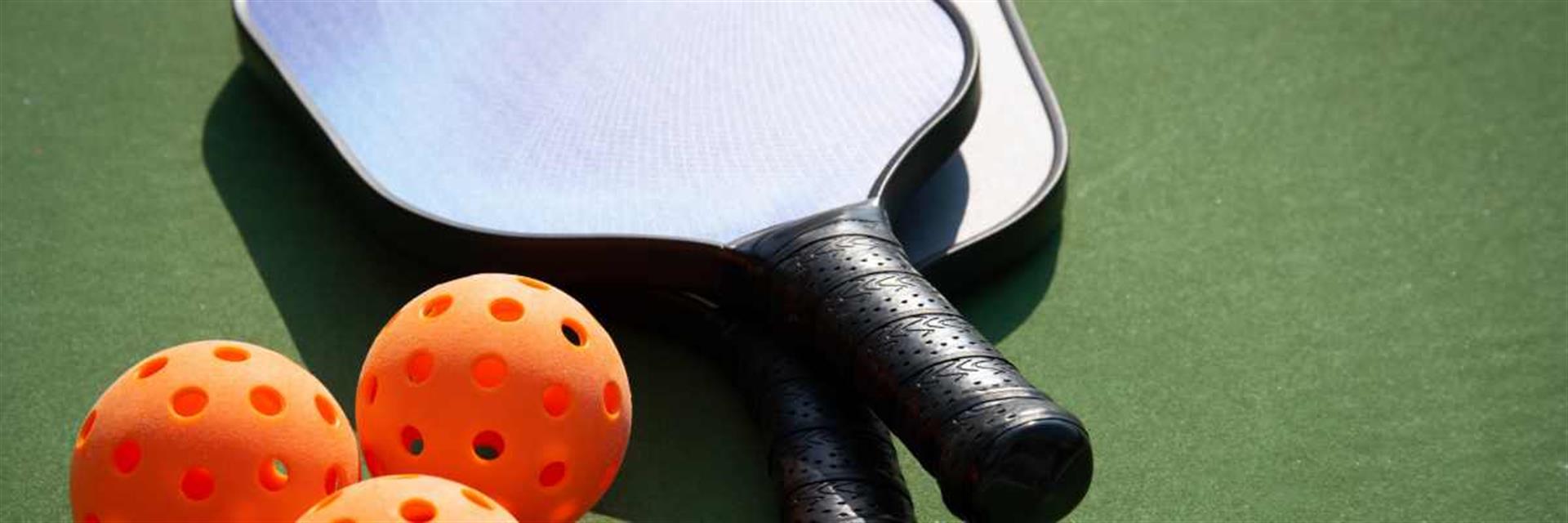 pickle ball pickle ball