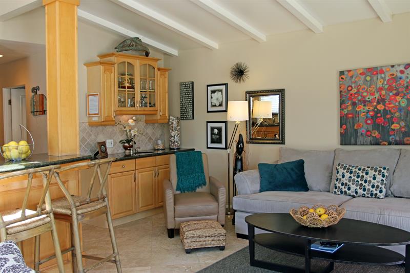 Living Area  wet bar