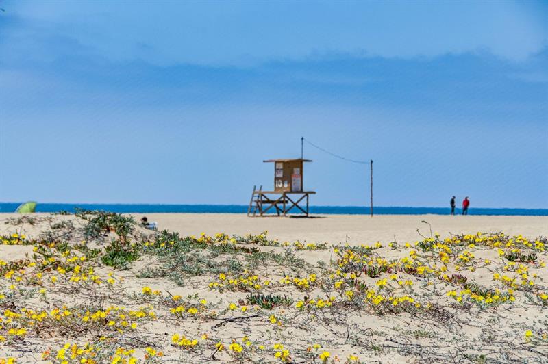 Beach view, Lifeguard tower