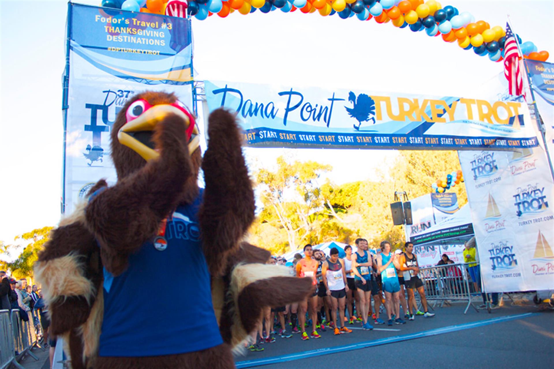 Danapointturkeytrot Danapointturkeytrot