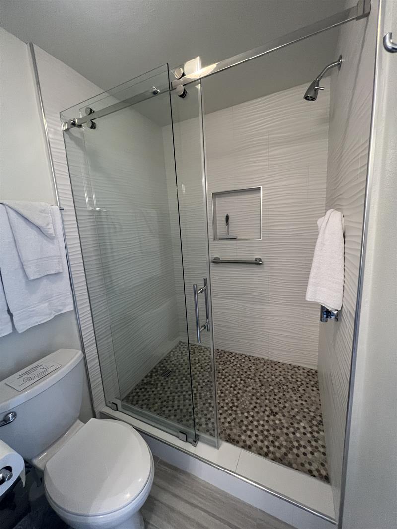 Master Bathroom Shower