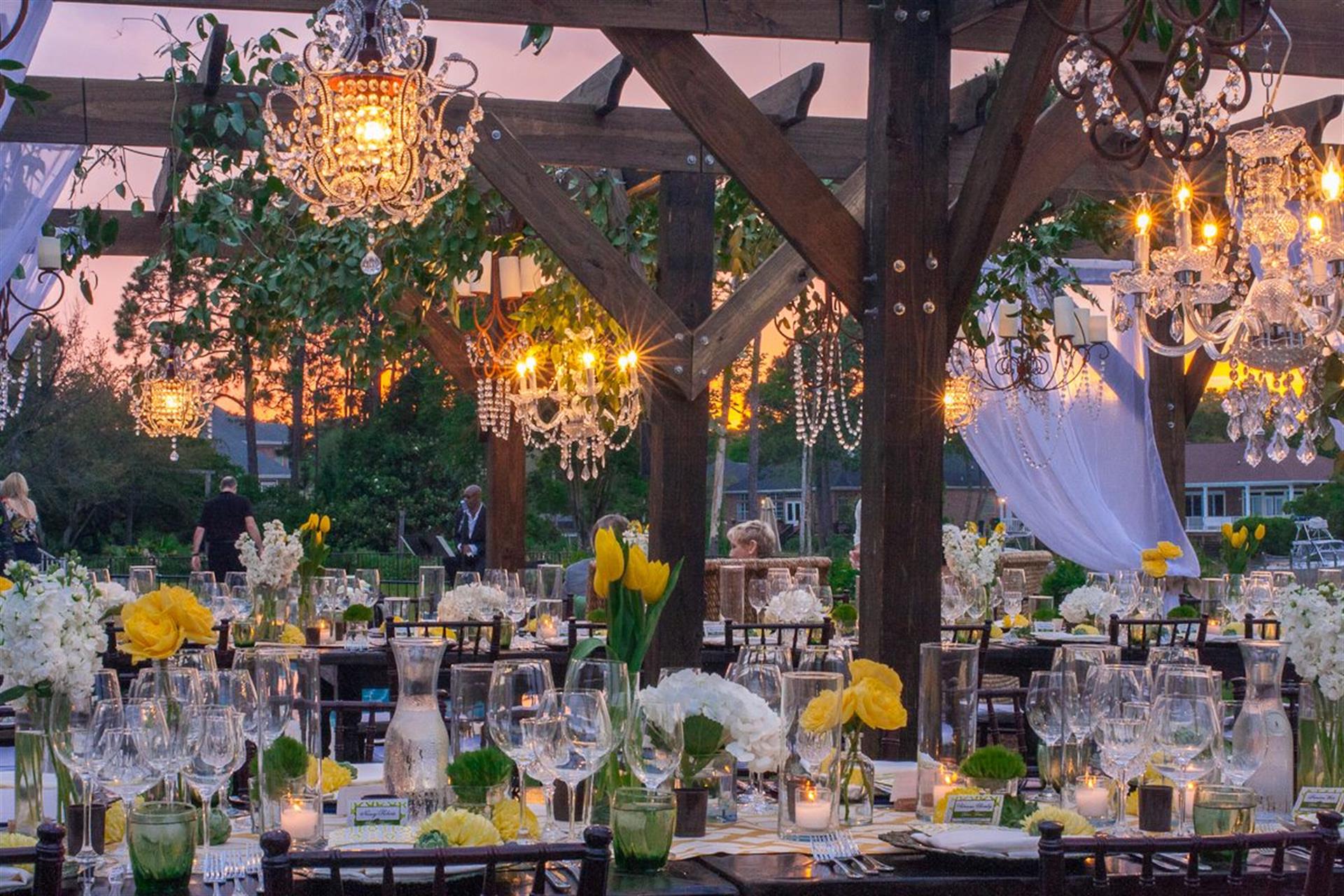 11147059_10155446377125464_7657337345510712328_o