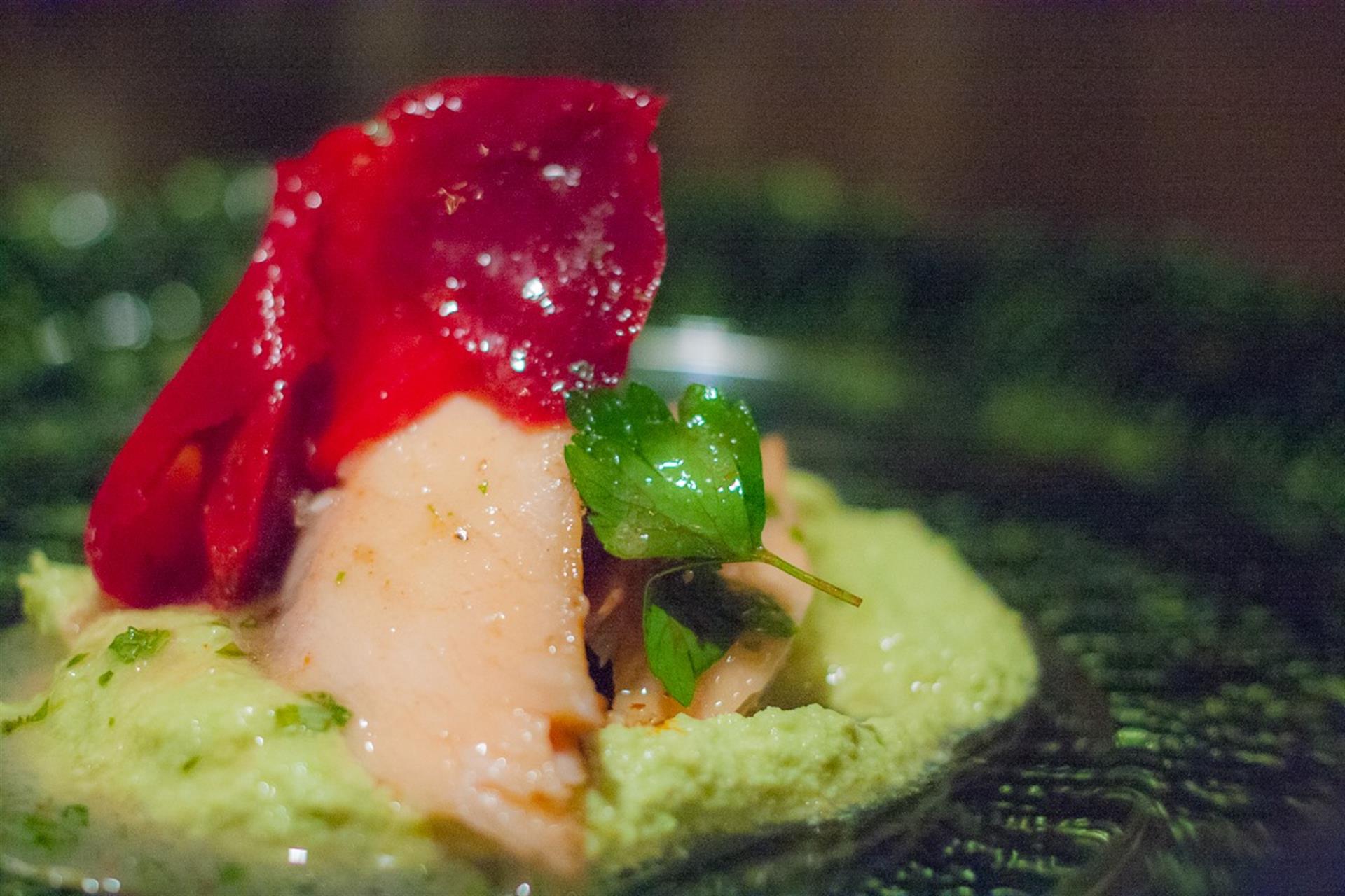 11149595_10155446375355464_644491883750982203_o