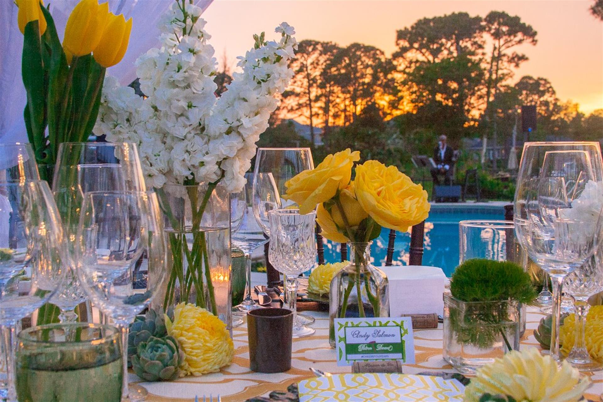 11174324_10155446374885464_8855277132464725269_o