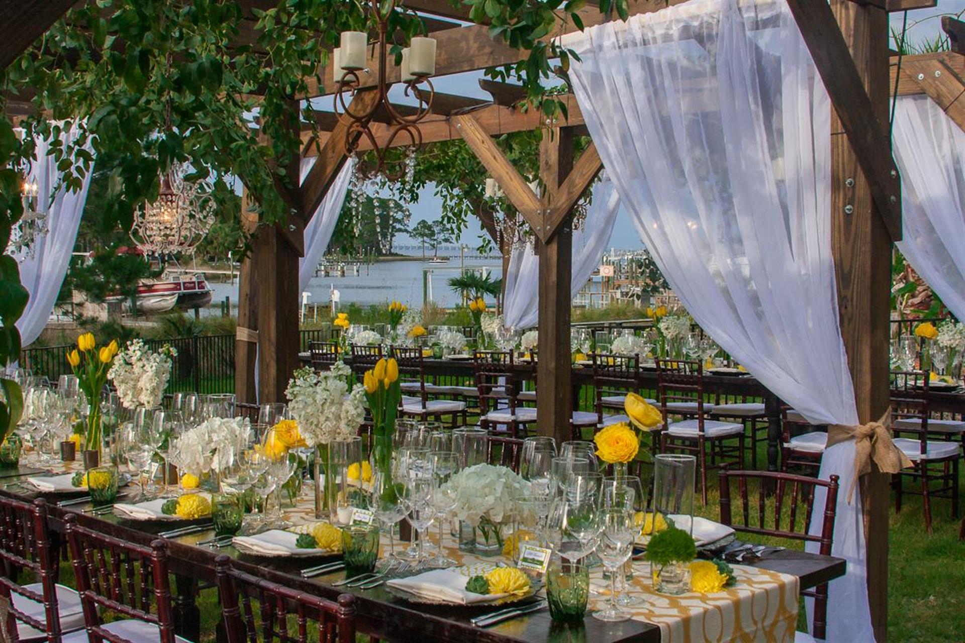 11194464_10155446453775464_1802403206635433195_o