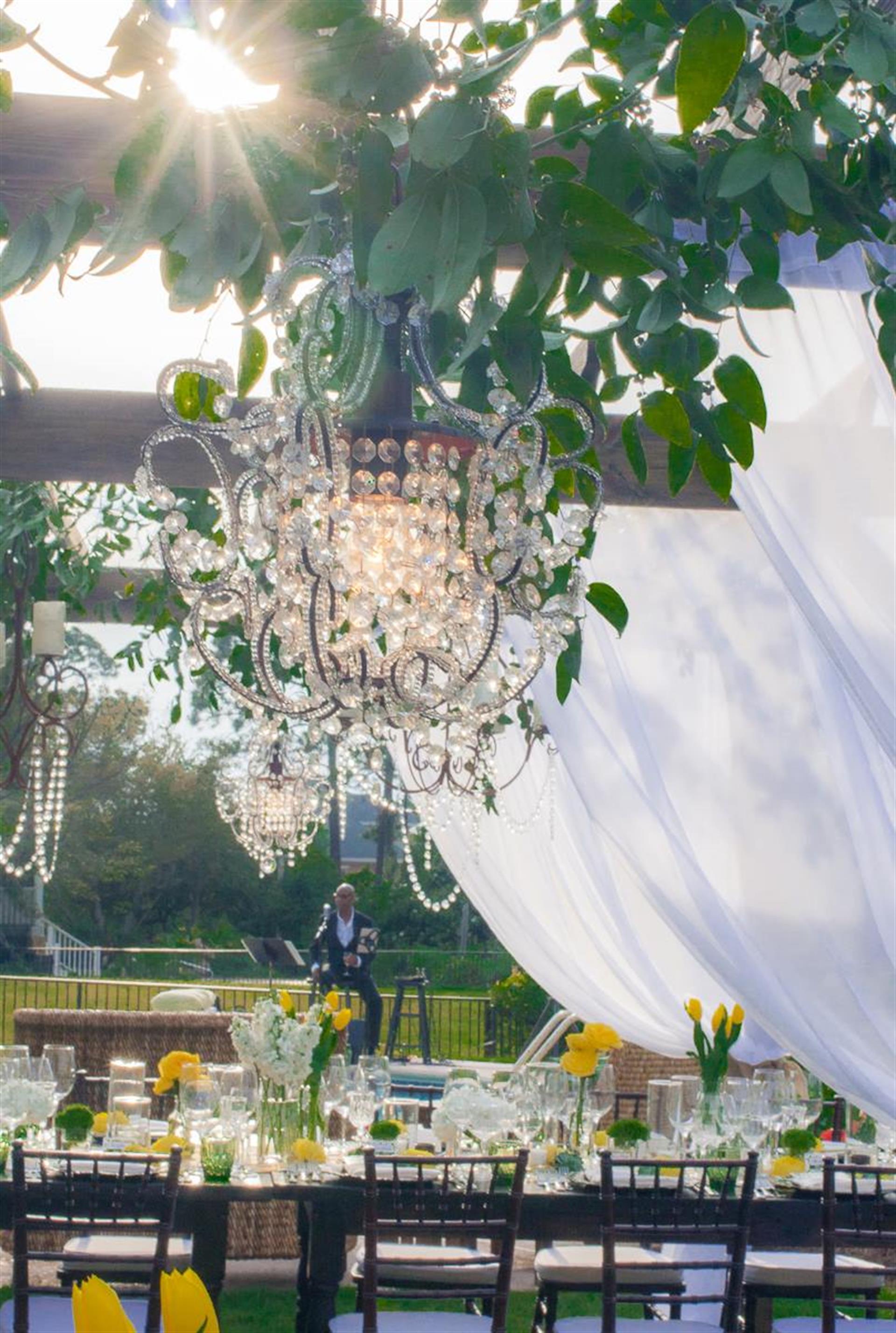 11194629_10155446475265464_2147365839062715376_o