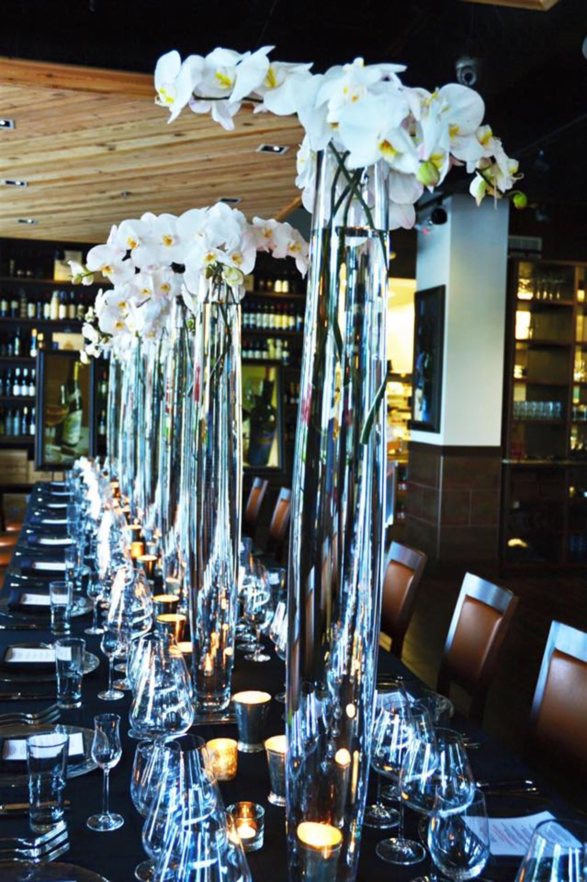 11010296_10153826831740110_213373410970587285_n