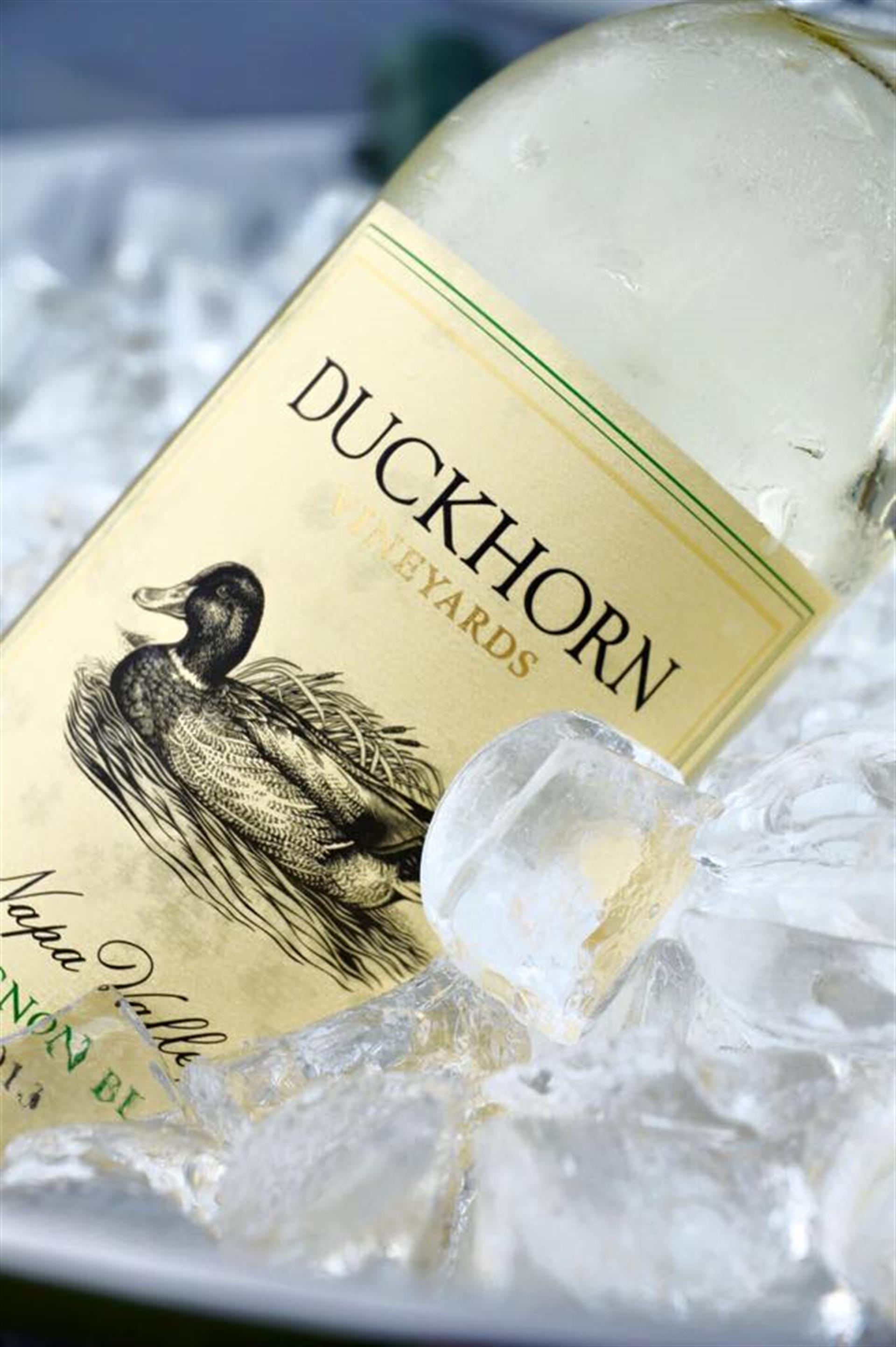 11182244_10153826832145110_5384726099032682781_n