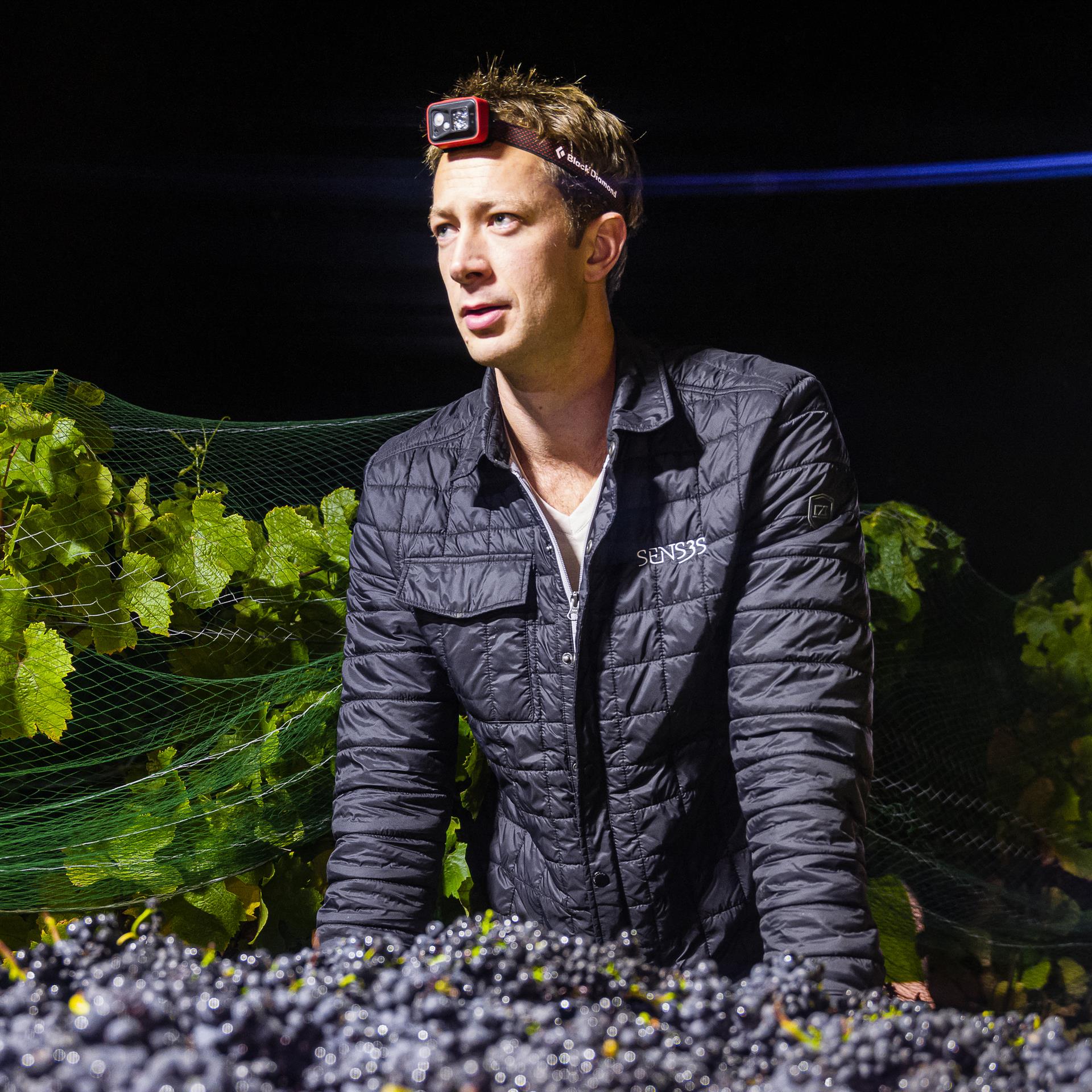 Christopher profile grapes harvest jakwonderly