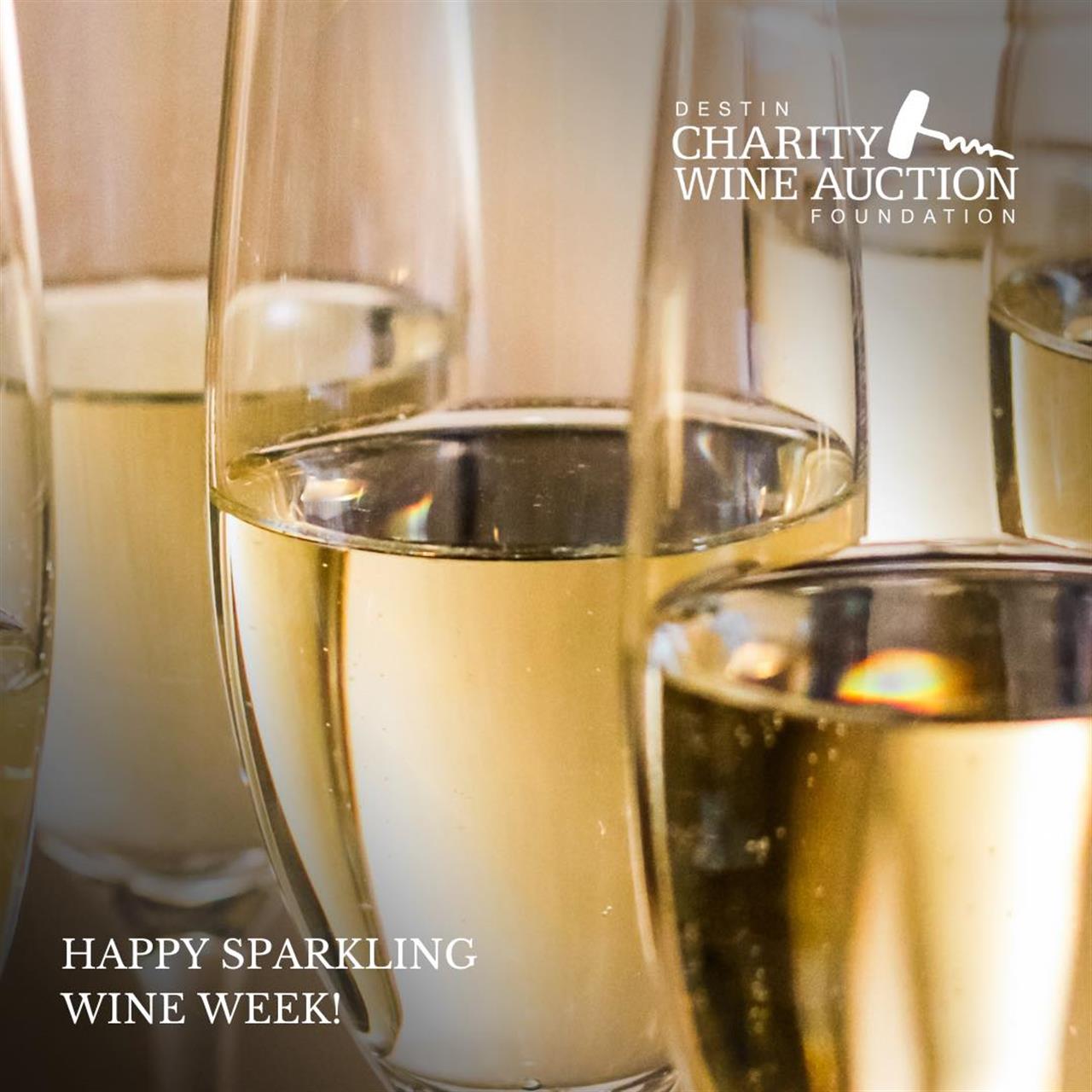 16484 356680396_643748044447450_3318678658634473273_n B