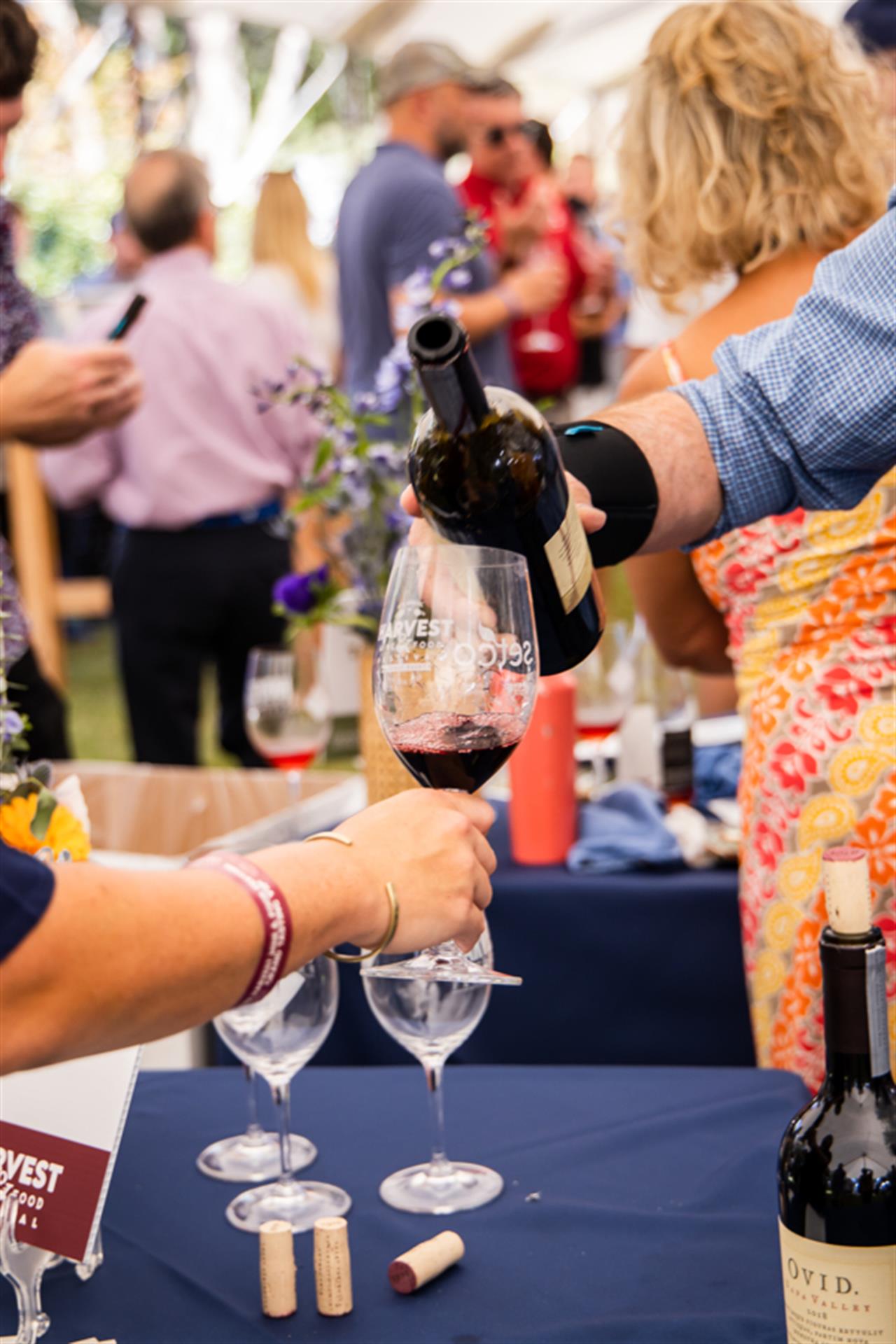 16504 Dcwaharvestfestival201984 B