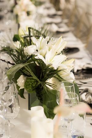 16558 347790474_994570751908458_5316278627380972454_n S