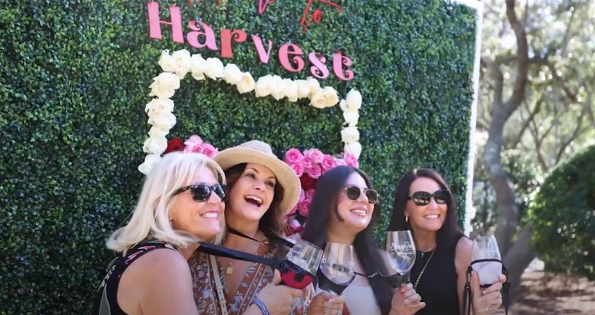 16774 Screen Shot 20241211 At 3