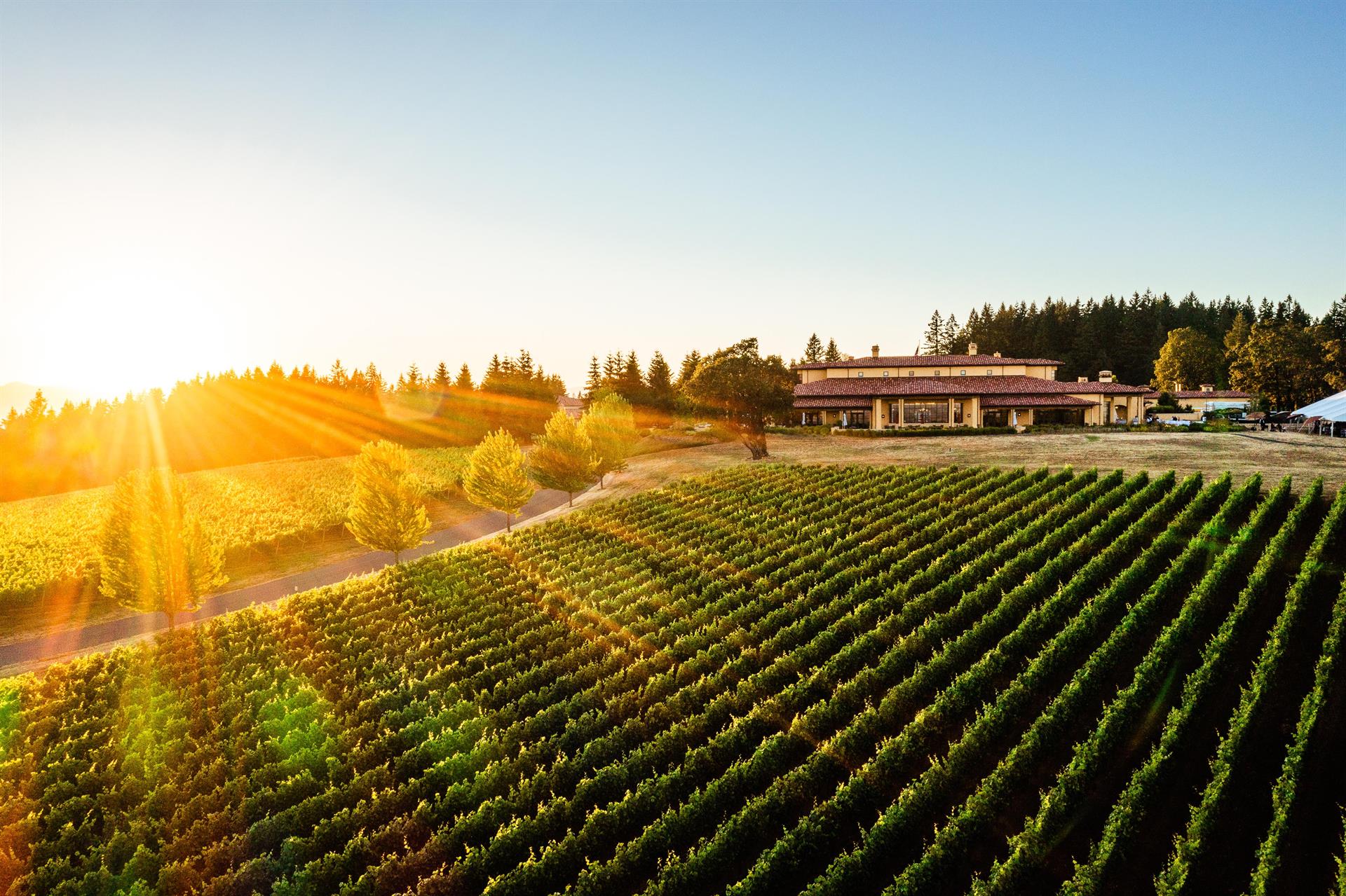 copy The Clubhouse at Domaine Serene copy