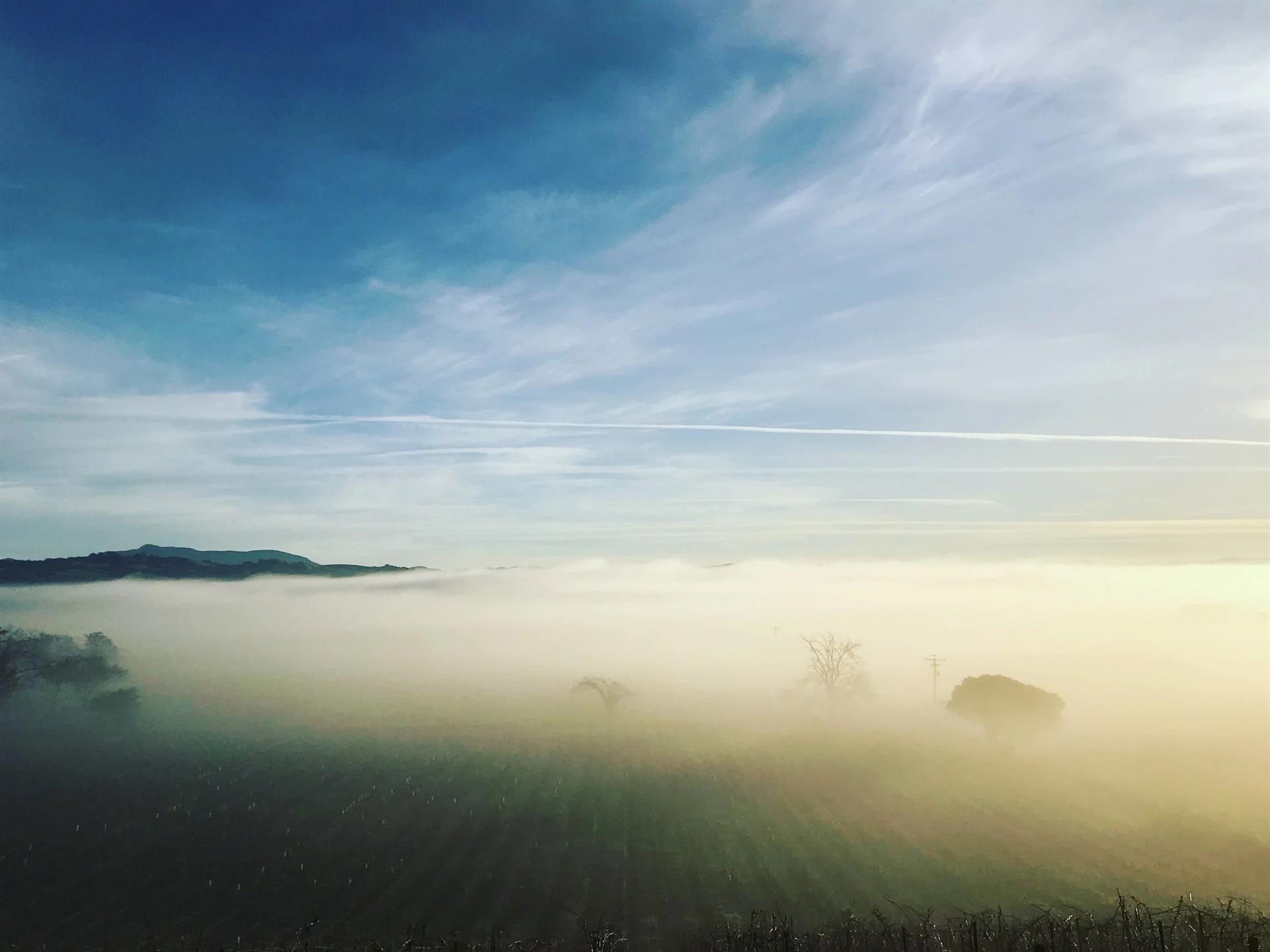 16990 Hero_possible Hero Img_6448r Copy H