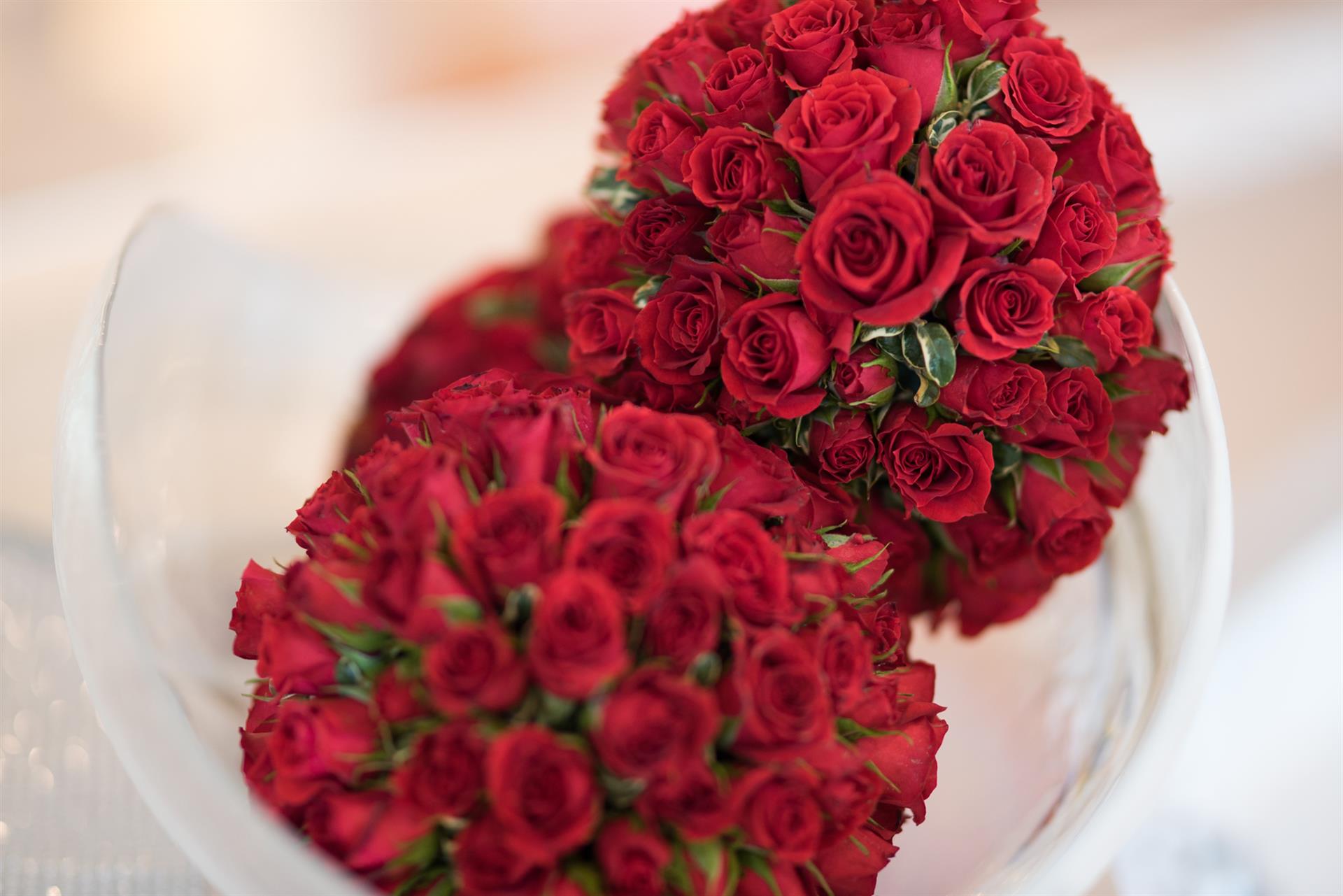 bardins patron dinner 6 of 18